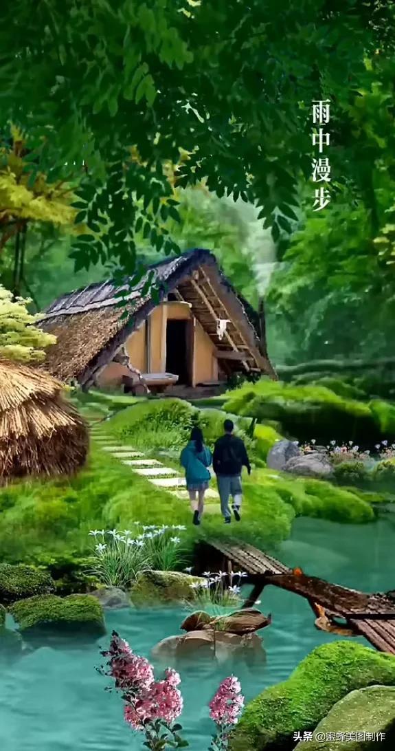 蓝狐视频